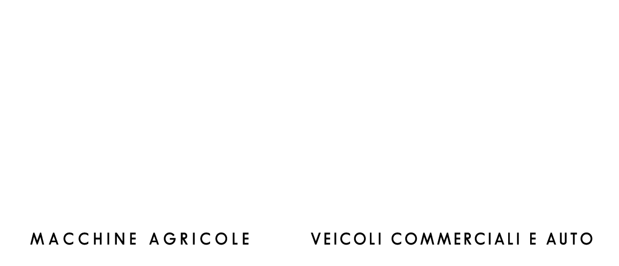 Cicognani Commercio logo